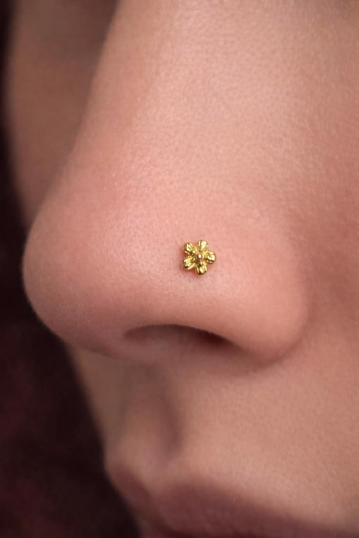 Elegant Nose Pins